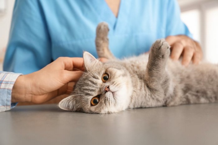 Source: Shutterstock.com/Pixel-Shot