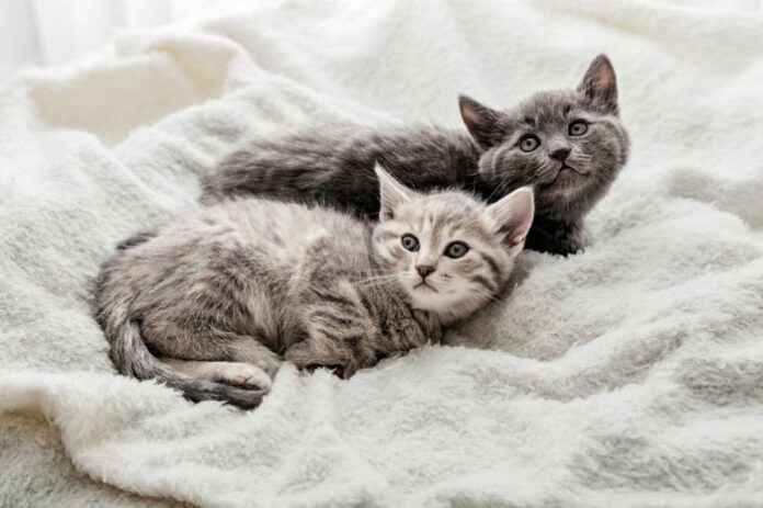 Source: Shutterstock.com/beton studio